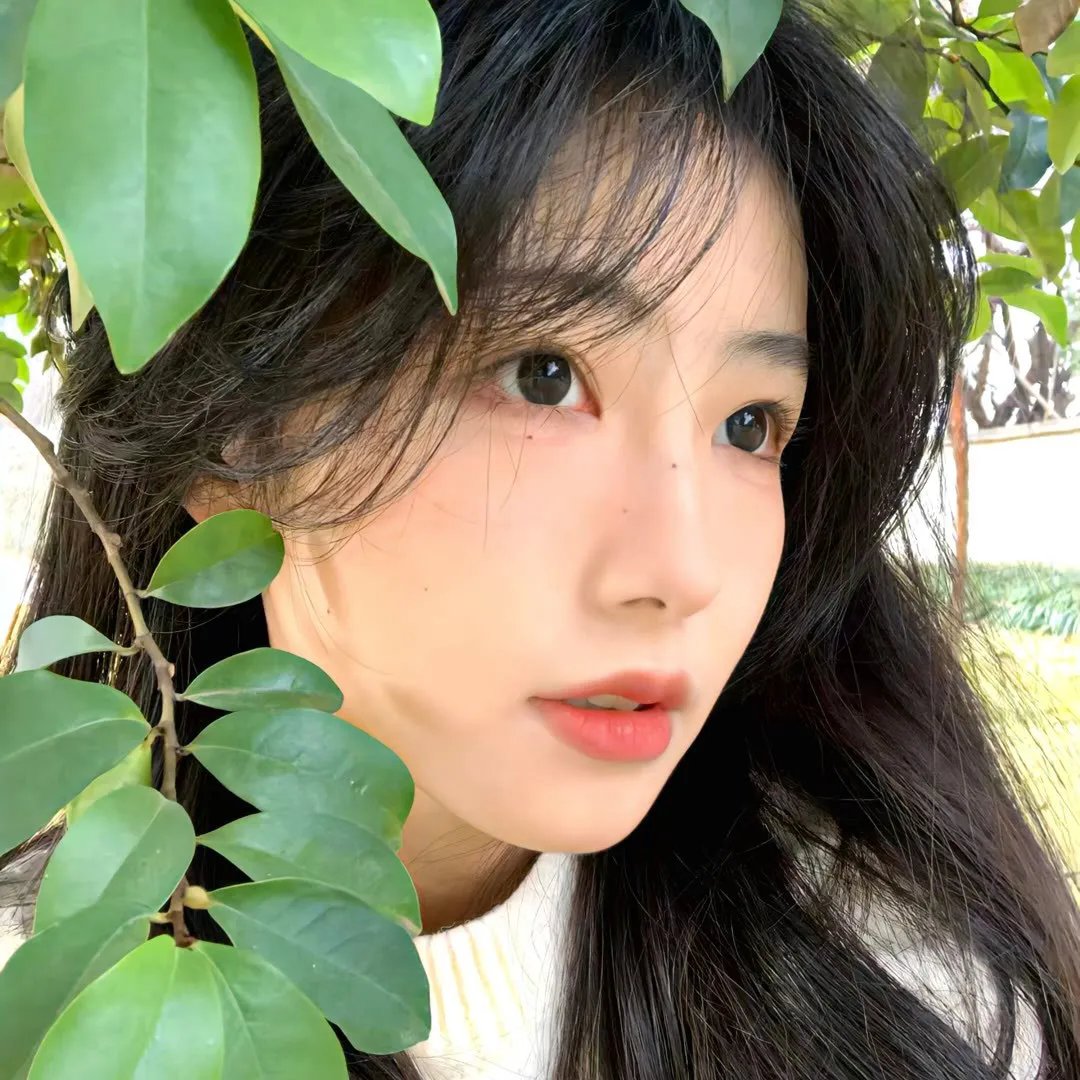 火药之心