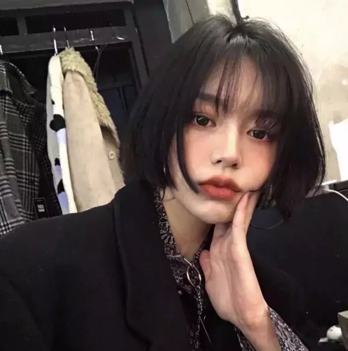 两条牛仔龙